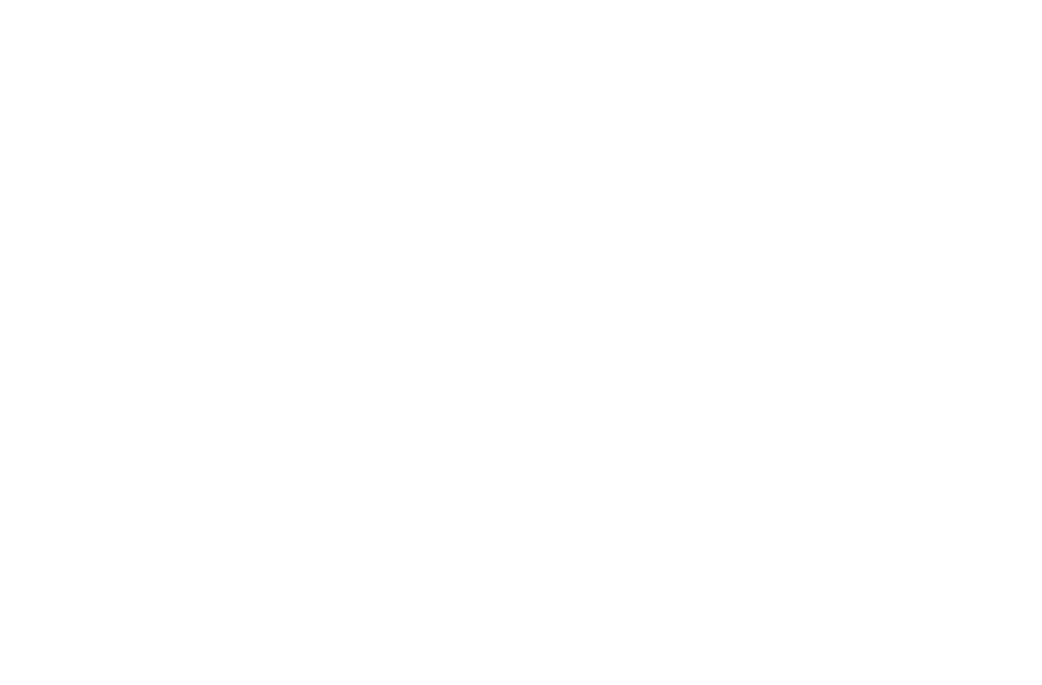 DM Projects logo